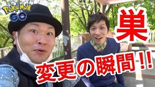 【決定的瞬間!!】巣の変更の瞬間はこうなっていた！【天保山公園】