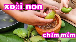 Xoài Non Chấm Mắm Cá Linh Siêu Cay | SLMT T29