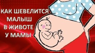 КАК ШЕВЕЛИТСЯ РЕБЕНОК В ЖИВОТЕ У МАМЫ
