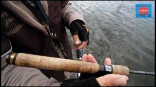 Nories TROUT PROGRAM "Spike Arrow"