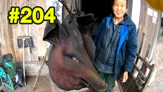 第204集 小伙给老伯180元买了13斤的腊猪头 216包邮给了网友 能挣到么？