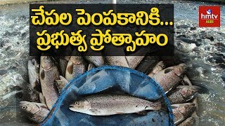 Subsidies for Fish Farming | hmtv Agri