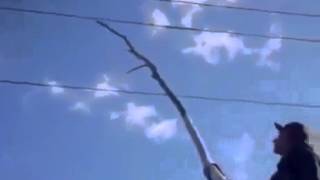 Премия Дарвина!