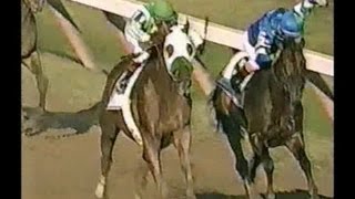 2001 Travers Stakes - Point Given