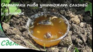 Маленькие  полезные хитрости которые облегчат жизнь на даче