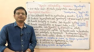 Endocrine Gland (Part-11)- Thyroid Stimulating Hormones in HINDI