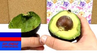 Секреты красоты маска для лица из кожуры авокадо