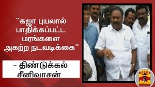 "கஜா புயலால் பாதிக்கப்பட்ட மரங்களை அகற்ற நடவடிக்கை" - அமைச்சர் திண்டுக்கல் சீனிவாசன்