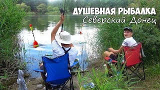 Душевная ловля на фидер в дождь! РЫБАЛКА на Северском Донце донной снастью