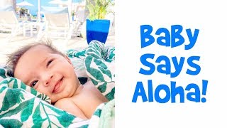 Baby Says Aloha! - Ballinger Family Goes to Hawaii Day 3
