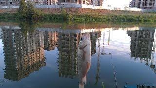 Ловля карася на реке Сетунька в Солнцево.  Рыбалка рядом с ДСК-3 и ЖК Татьянин Парк