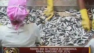 24 Oras: Panghuhuli ng tamban sa Zamboanga, bawal hanggang Feb. 2014
