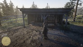 Red Dead Redemption 2 Online Metal Detector Collector Rank 5 - RDO Metalldetektor Sammler Rang 5