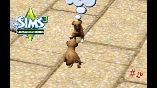 Прохождение The Sims 3 "История оборотня" #26 Щенки!!