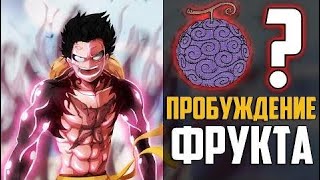 Пробуждение Фрукта Типа Парамеция | На что Будет Способен Луффи? | Ван Пис теория