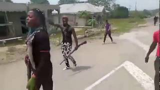 AMBAZONIA FIGHTERS ON LOCK DOWN AND HIGH BREEDS LEVEL