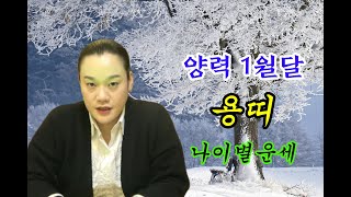 2020년 경자년 양력1월 용띠 나이별운세