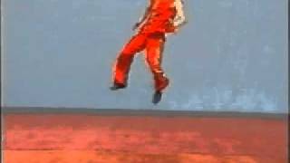 Wushu - Nanquan. Video didattico Centro Studi Arti Marziali Tradizionali