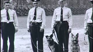 The History of Wilmington Police Department, Delaware