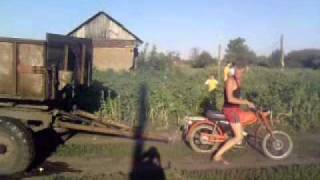 мопед карпатый