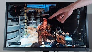 this Gaming Monitor has zero input lag