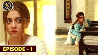 Mera Dil Mera Dushman | Episode 1 | Alizeh Shah & Noman Sami | Top Pakistani Drama