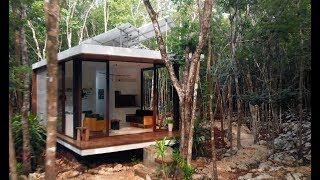 Live Tiny In The Mexican Jungle