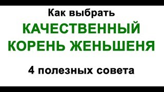 ☕►Корень женьшеня | 4 совета как выбрать качественный корень женьшеня