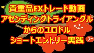 FXトレード動画 ｱｾﾝﾃﾞｨﾝｸﾞﾄﾗｲｱﾝｸﾞﾙからのエントリー実践