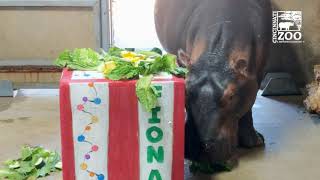 Santa Delivers Gifts to Cincinnati Zoo Animals Ahead of Long Trip Back to North Pole