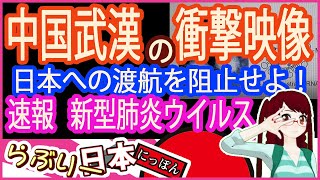 【NEWSをレビュー】中国武漢の衝撃映像　日本への渡航を阻止せよ！
