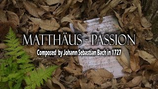 Bach Matthäus-Passion 마태수난곡 지휘 김성기 St. Matthew passion BWV 244 - Part 1