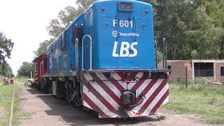 LINEA BELGRANO SUR 2020