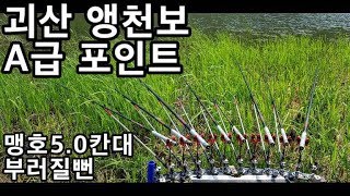 괴산 앵천보 A급 포인트 [제25화] 웃기는 붕어낚시