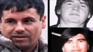 «El Hitler», el sicario de los Arellano Félix que peleó contra «El Mayo» y «El Chapo Guzmán»