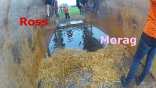 Tough Mudder Scotland 2013 Pt 2 - Dirty Ballerina + Gecko