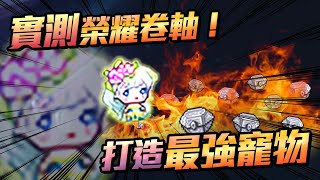 【新楓之谷】【神秘】實測最新榮耀卷軸 打造最強寵物！！ 過程超刺激 ...最後面有總結ヽ( ^∀^)ﾉ