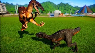 Spinoraptor vs Indoraptor, Indominus Rex, Stegoceratops, Spinosaurus - Dinosaurs Fighting