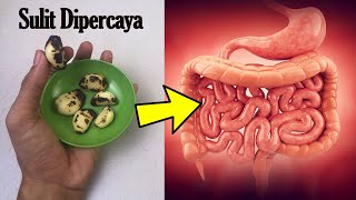 MASYA ALLAH... MAKAN BAWANG PUTIH PANGGANG SETIAP HARI, INILAH EFEKNYA DALAM 24 JAM