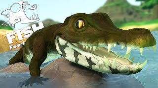 НОВЫЙ СЕКРЕТНЫЙ КРОКОДИЛ, ОБНОВЛЕНИЕ | Feed and Grow Fish