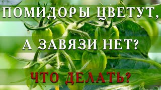 А вы знали, что можно увеличить завязи томатов в разы?