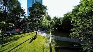 Nunez Lawn Care & Landscaping Offers Expert Services | Designing Spaces