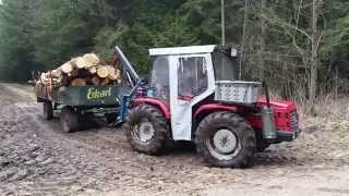 Carraro 5500 im Wald 2