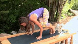 Mini-Workshop: Side Crow Pose / Parsva Bakasana with Tiffany Cruikshank