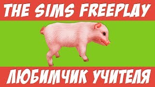 The Sims FreePlay Любимчик учителя  / Прохождение Симс Фриплей