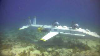 SAS underwater Flight School