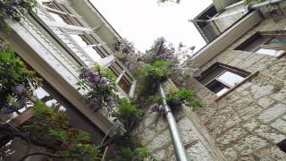 Симеиз Вилла Эдем Villa Edem Simeiz