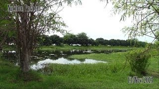 Overview of Nakhon Pathom, Thailand