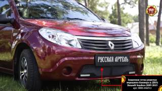 Защитная сетка переднего бампера (с ДХО) Renault Sandero 2009-2013 (russ-artel.ru)