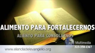 QUE ES LA BIBLIA